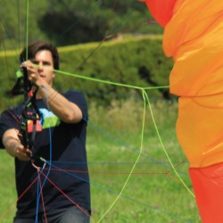 Parapente BGD SEED 14